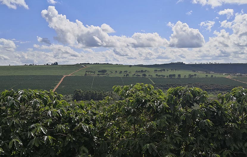 Brazil: Save a drop of water project