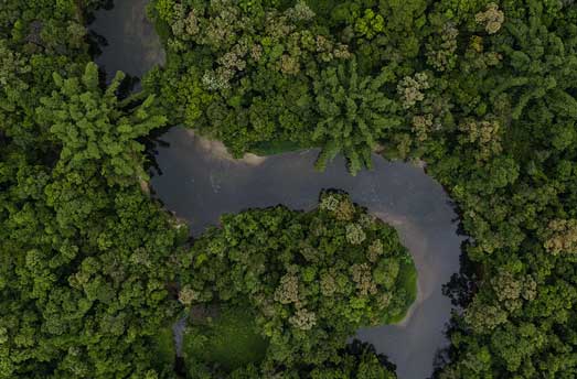 Amazon river