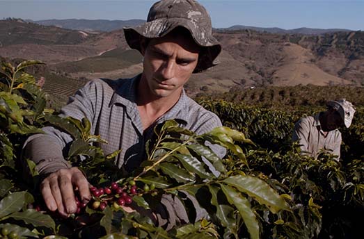 local farmer