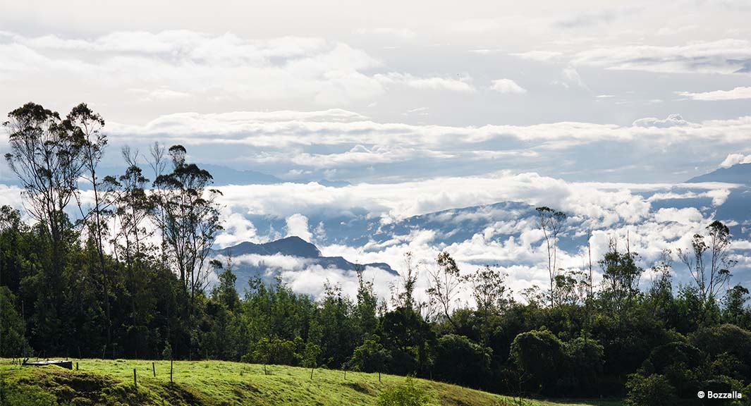 Meta region Colombia