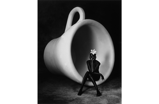 Calendar Lavazza Albert Watson